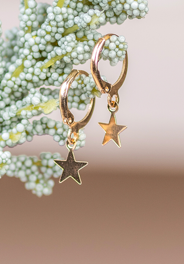 STAR CHARM TASSEL EARRING